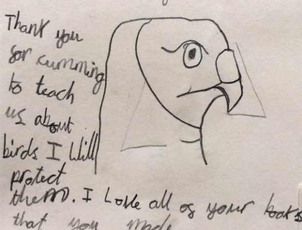 Hen Harrier education all year, not just for one day!