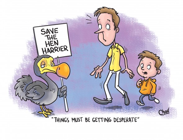 Simon’s cartoon completes Skydancer