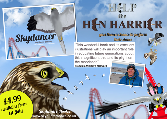 Skydancer plight of the hen harrier goes to print!