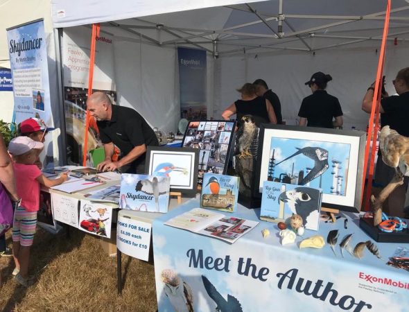 New Forest Show a STEM success